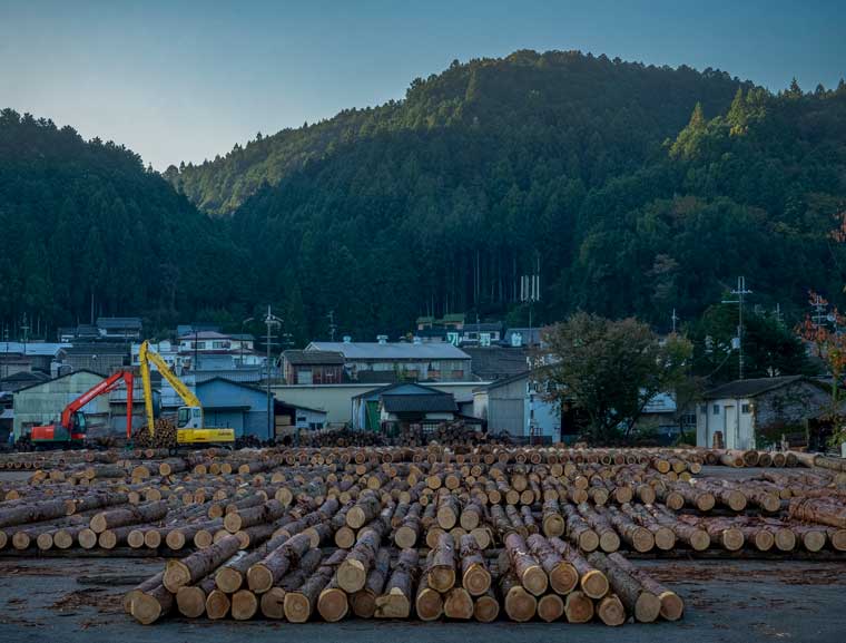 吉野の原木市場（撮影 Hisao Suzuki,2022）