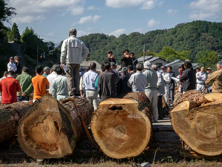 吉野杉の原木丸太の競り（撮影 Hisao Suzuki,2022）
